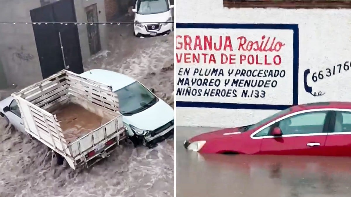 “¡Se llevó hasta el carro, mami!” Tromba sorprende a ciudadanos y el agua arrastra autos