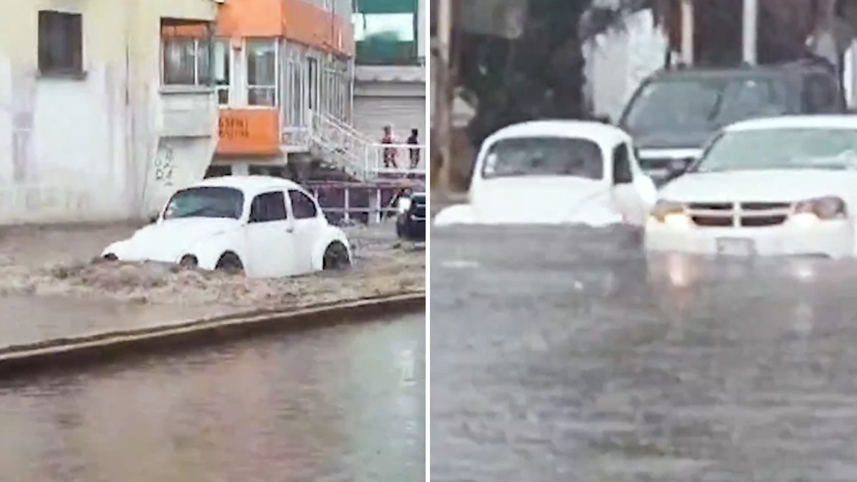 VIDEO ¡Nada detiene al Vochito! Captan como avanza entre autos detenidos en inundación