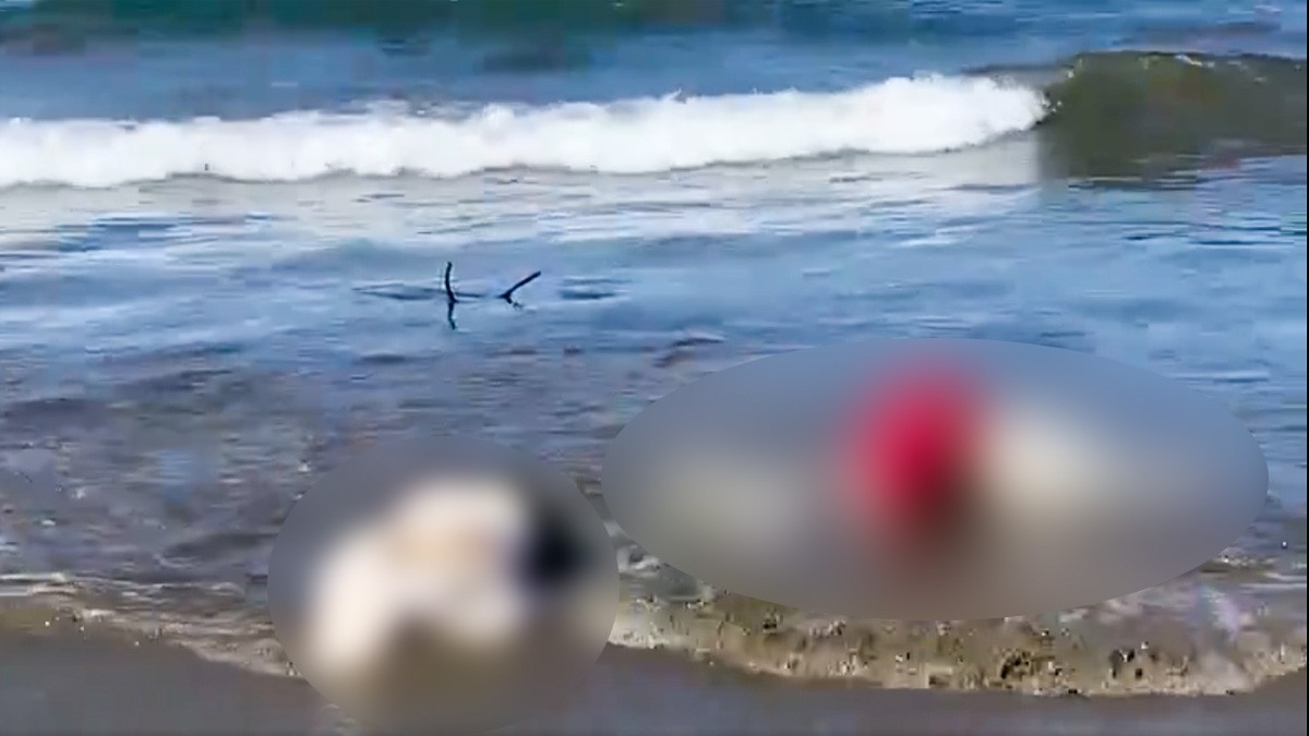 VIDEO Olas expulsan dos cuerpos maniatados y con un ancla en esta playa de México