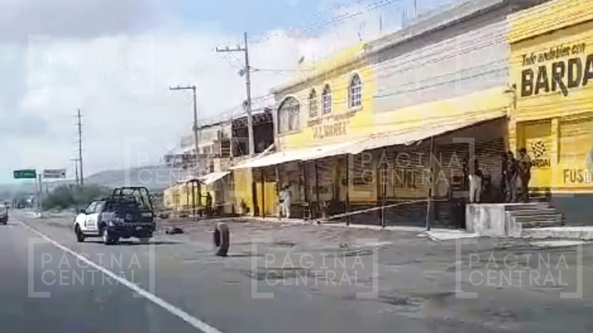 ¡Macabro hallazgo! Dejan restos humanos en varias bolsas a pie de carretera