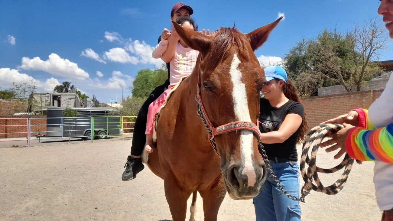 Estos son los beneficios de la equinoterapia, ¿en qué consiste y a dónde ir?