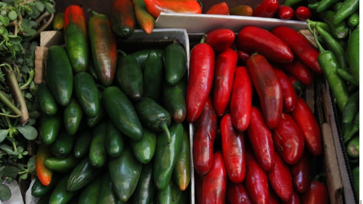 ¿Gusto por el picante? Suben precios de chiles 38%
