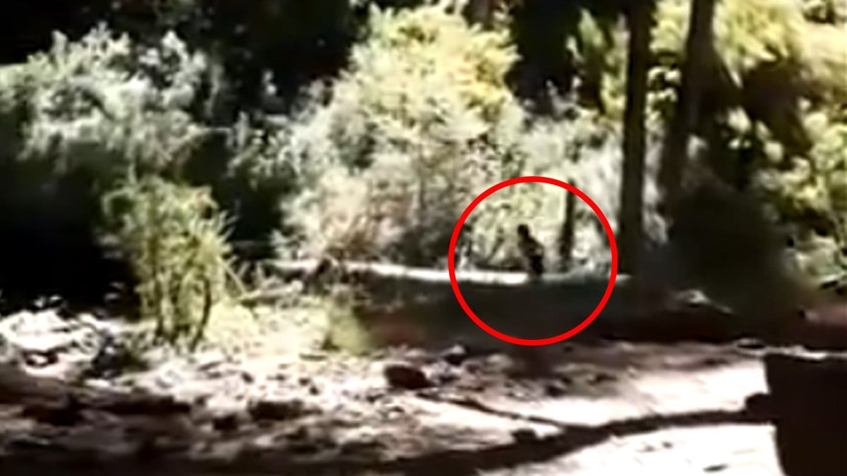 VIDEO ¿Qué es eso? Captan a presunto duende en pleno día junto a excursionistas