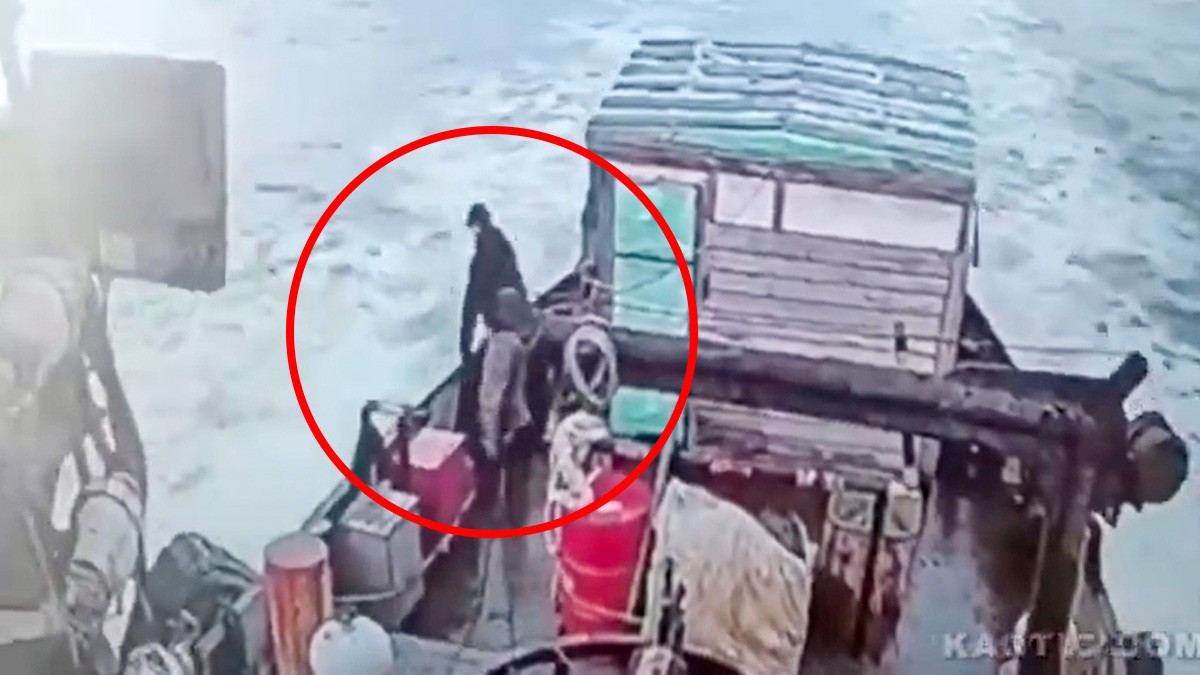 VIDEO Captan cuando marinero cae por la borda mientras hacía sus necesidades