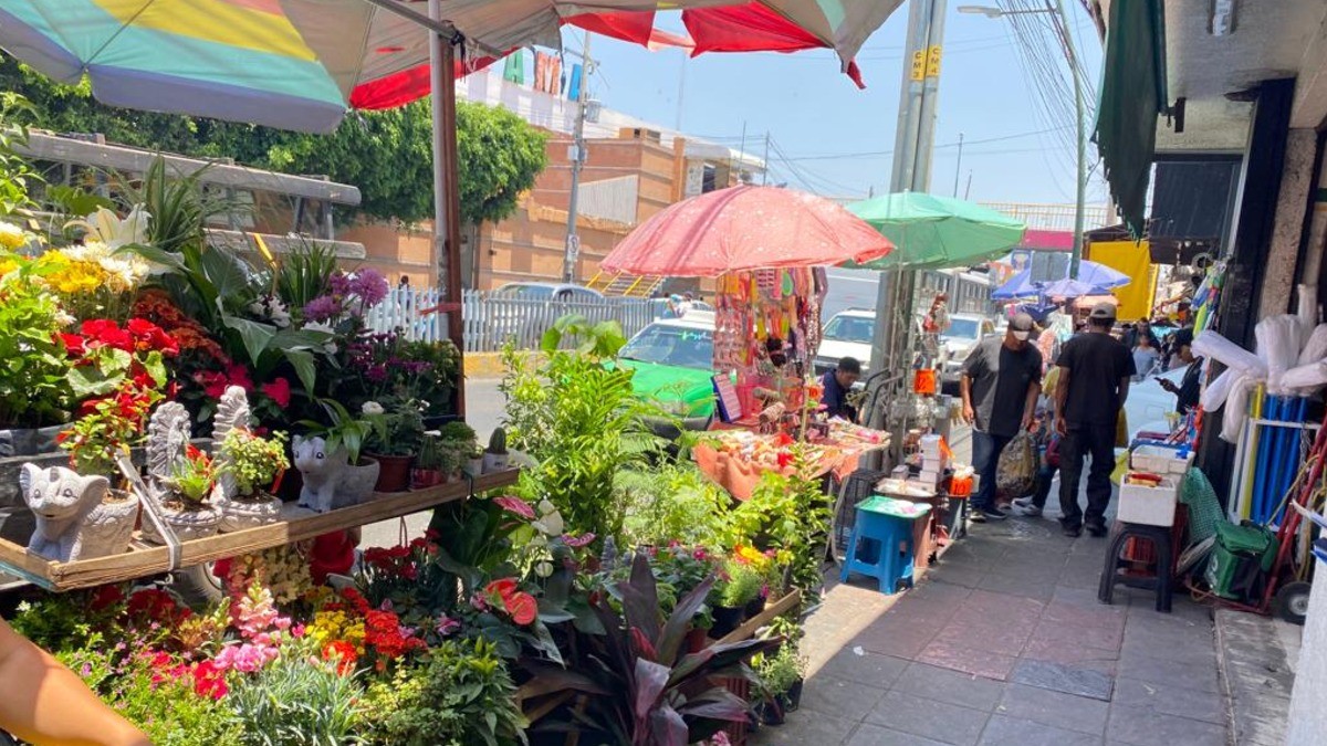 Avanza regularización del comercio en parques de León; Miguel Alemán, en pausa