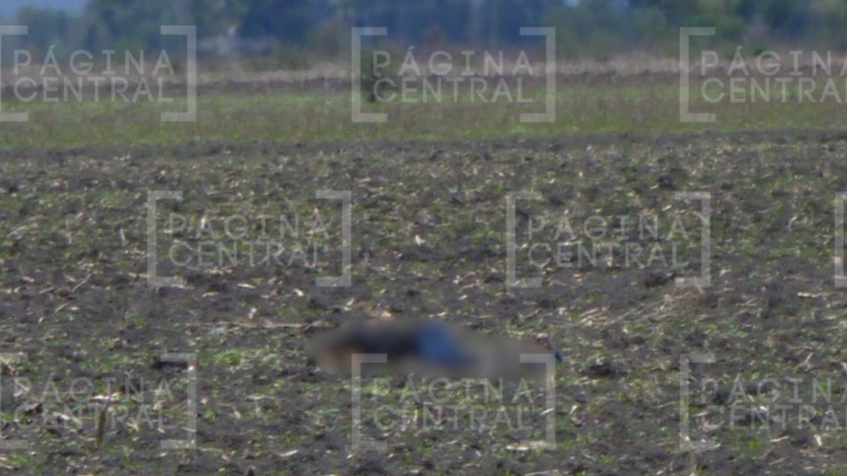 Matan a tres hombres en camino de terracería en San José del Resplandor