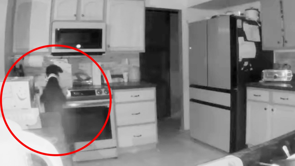 VIDEO ¿Perrito piromaniaco? Captan a mascota que inicia un incendio al prender una estufa