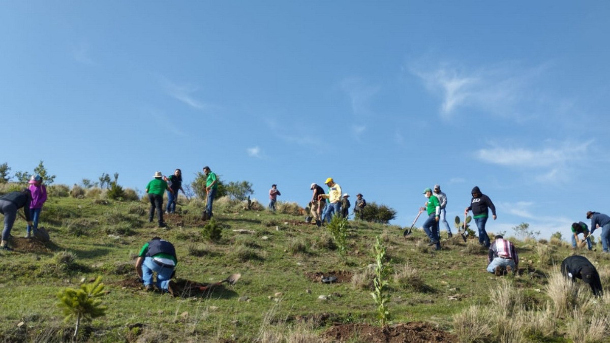 Ale Gutiérrez anuncia reforestación masiva en Sierra de Lobos; anótate en este enlace