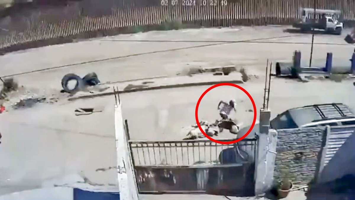 VIDEO Abuelito paseaba a su perro cuando cae en una coladera de 10 metros de profundidad