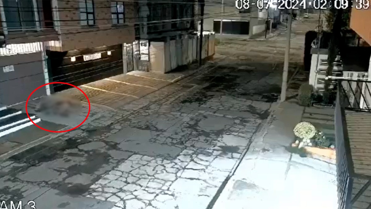 VIDEO Bebé cae de ventana del segundo piso y sus papás ni cuenta se dieron