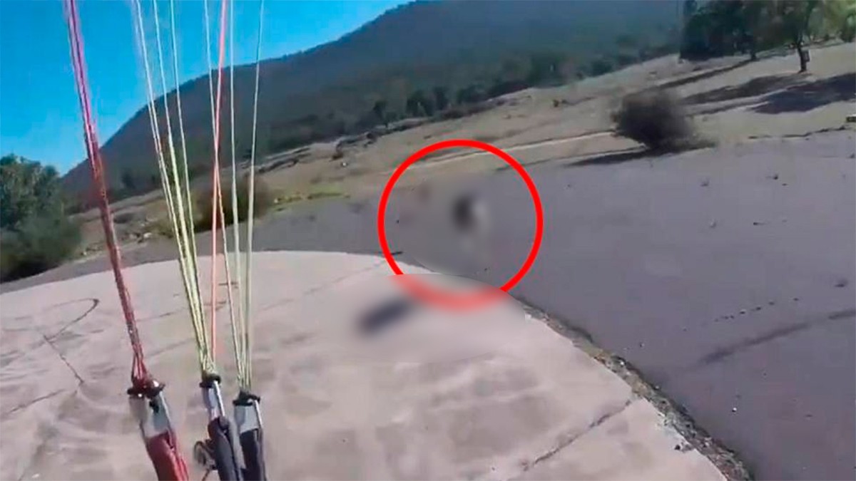 VIDEO Hombre aterrizaba en su paracaídas, pero un animal lo recibe con un ataque