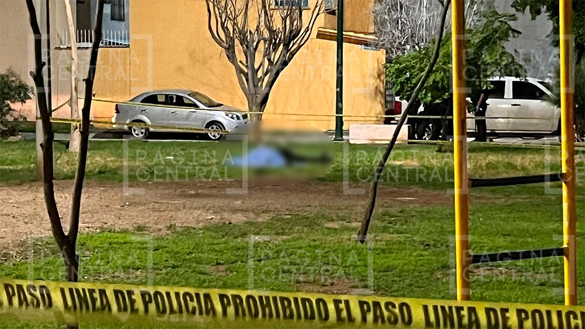 Asesinan a un hombre en Valle de Las Torres
