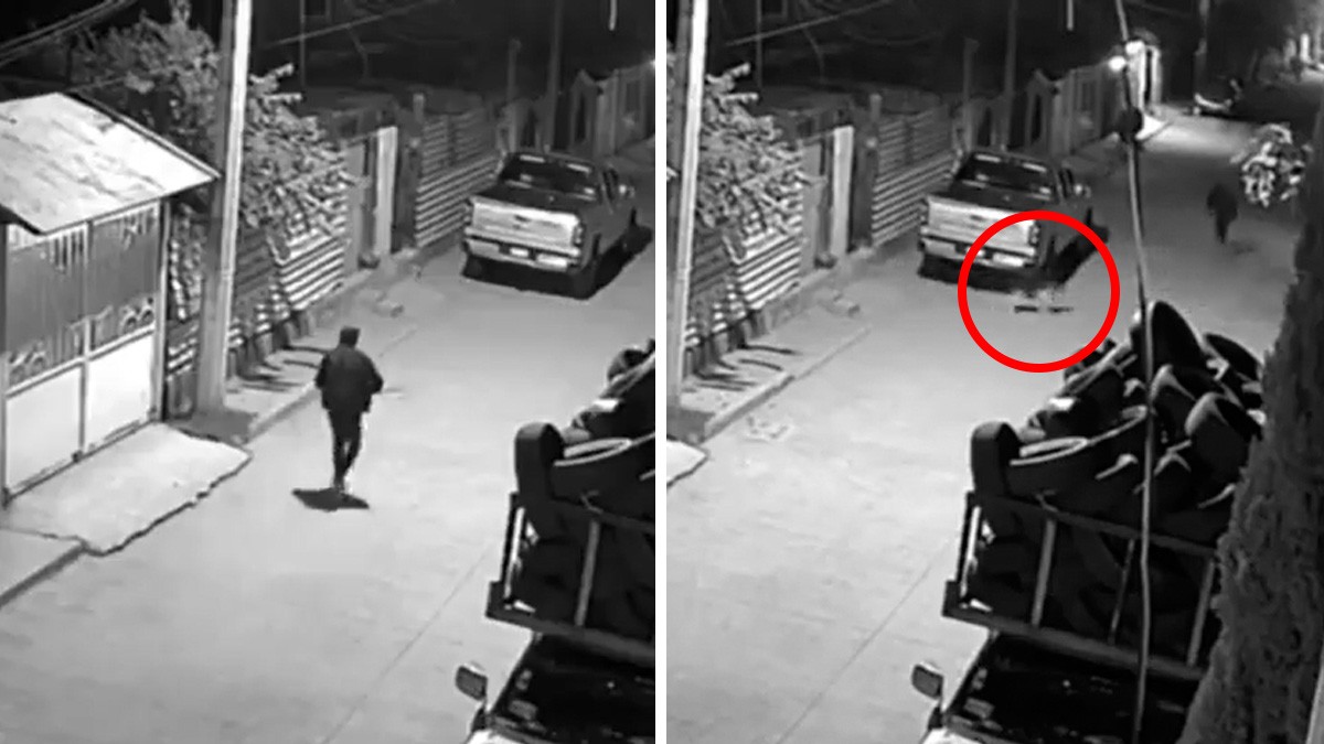 VIDEO ¡Héroe de 4 patas! Un lomito evitó que un ladrón entrara a su casa y así lo espantó