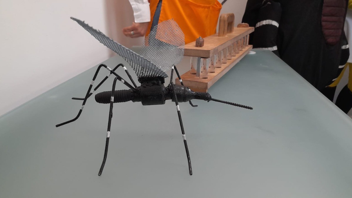 Se ponen 'Bravos' contra el dengue; buscan eliminar criaderos de mosquitos con 'Llantatón'