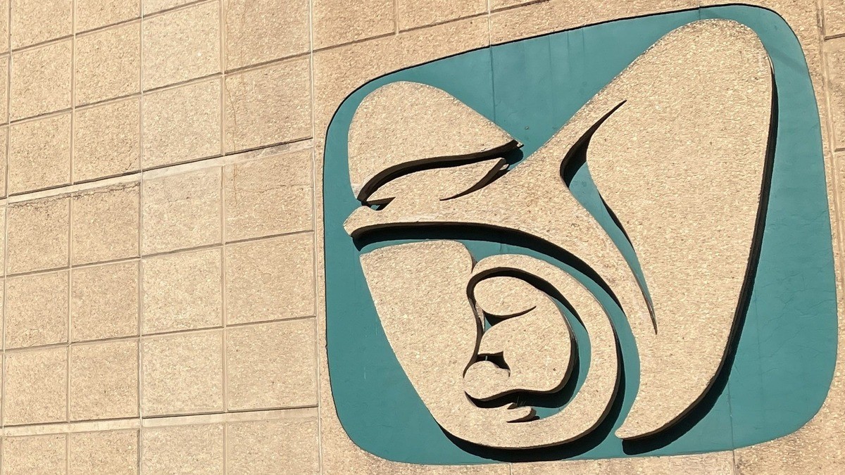 Pide IMSS denunciar transas en afiliación