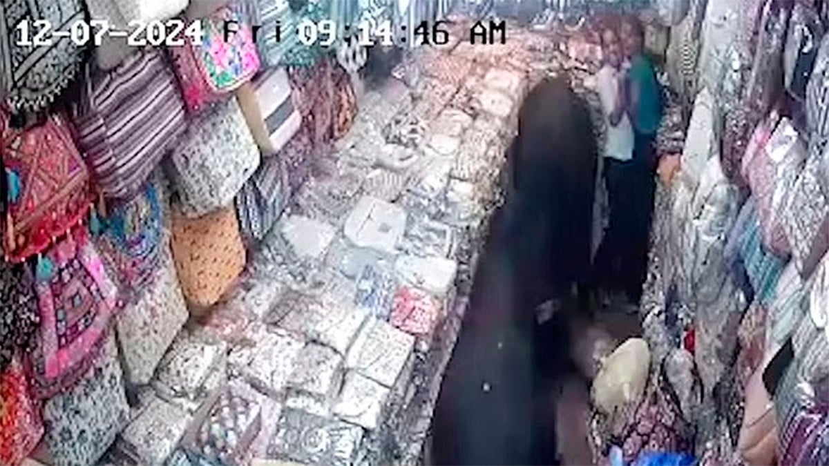 VIDEO Captan a dos toros cuando entran de repente a una tienda y embisten a dos empleadas