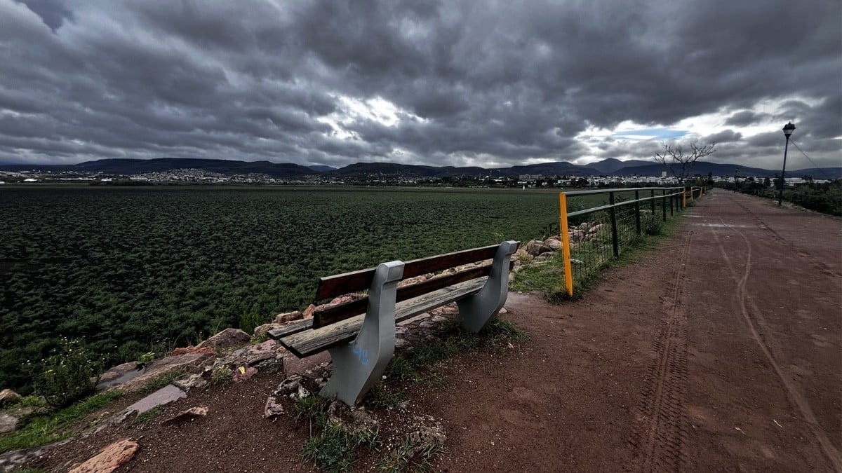 Lluvias empiezan a notarse en León: presa El Palote ya almacena 240 mil litros