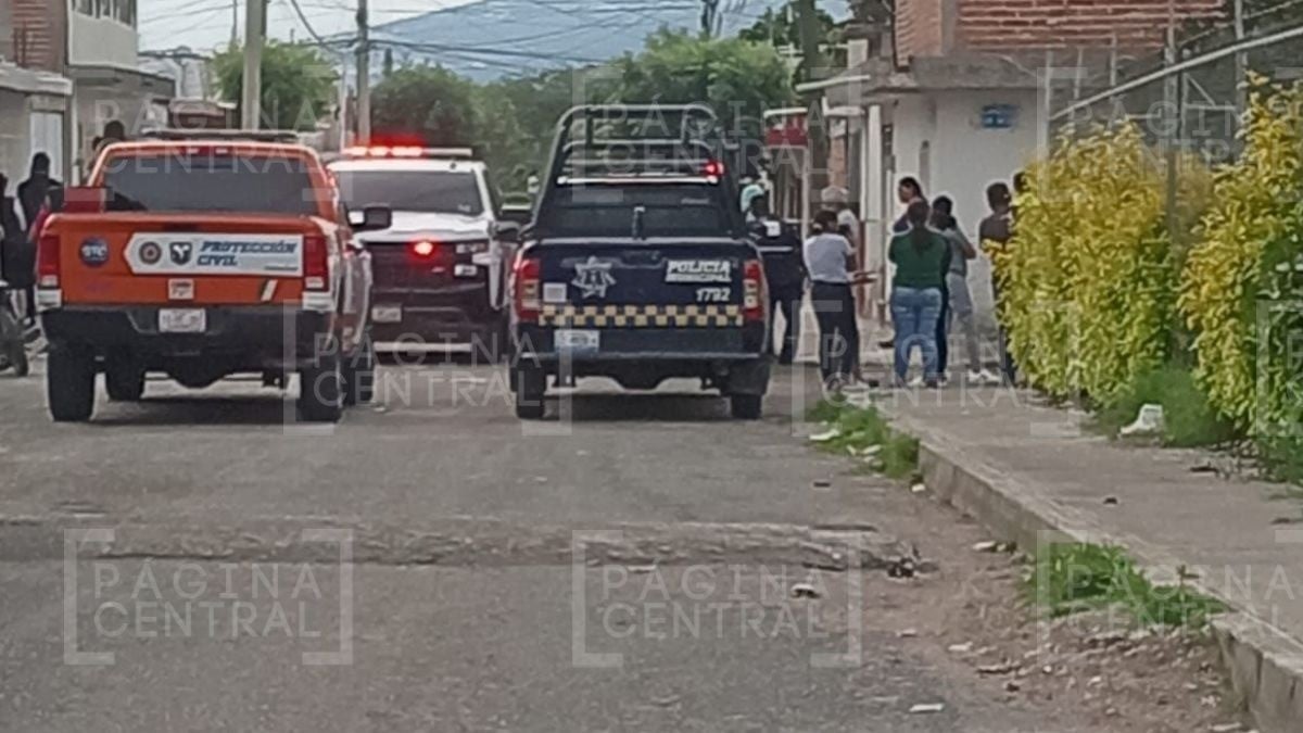 Vecinos intentaban quitar un panal en su casa y los atacaron las abejas; hay 1 muerto