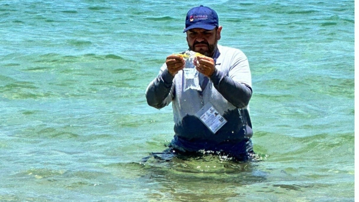 Estas son las 18 playas mexicanas no aptas para vacacionar