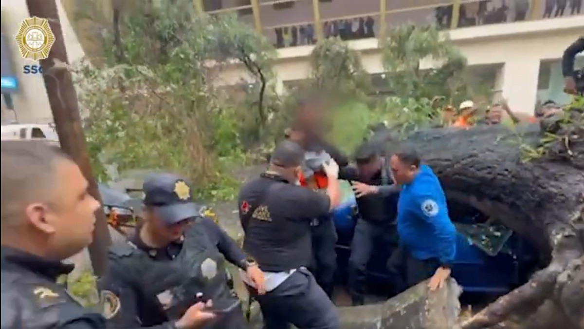 VIDEO Árbol cae sobre un auto con una familia dentro; bebé sobrevive pero su madre muere