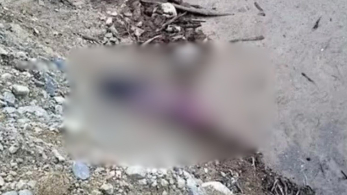 Jimena salió a pasear con su perrito y un día después la encontraron muerta en un pozo