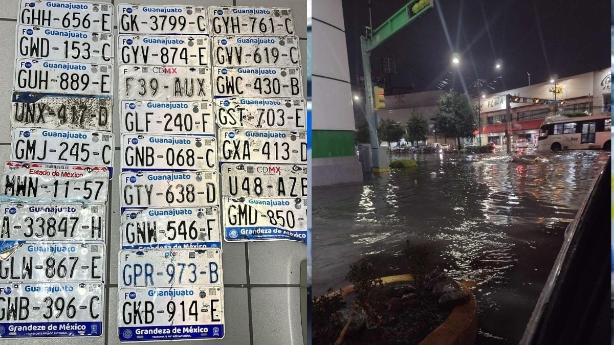 Estas placas se extraviaron tras la lluvia, si está la tuya te decimos cómo recuperarla