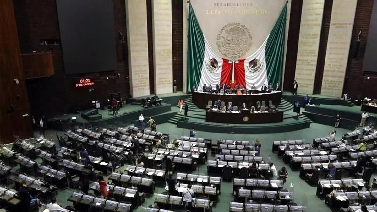 Piden abogados evitar sobrerrepresentación