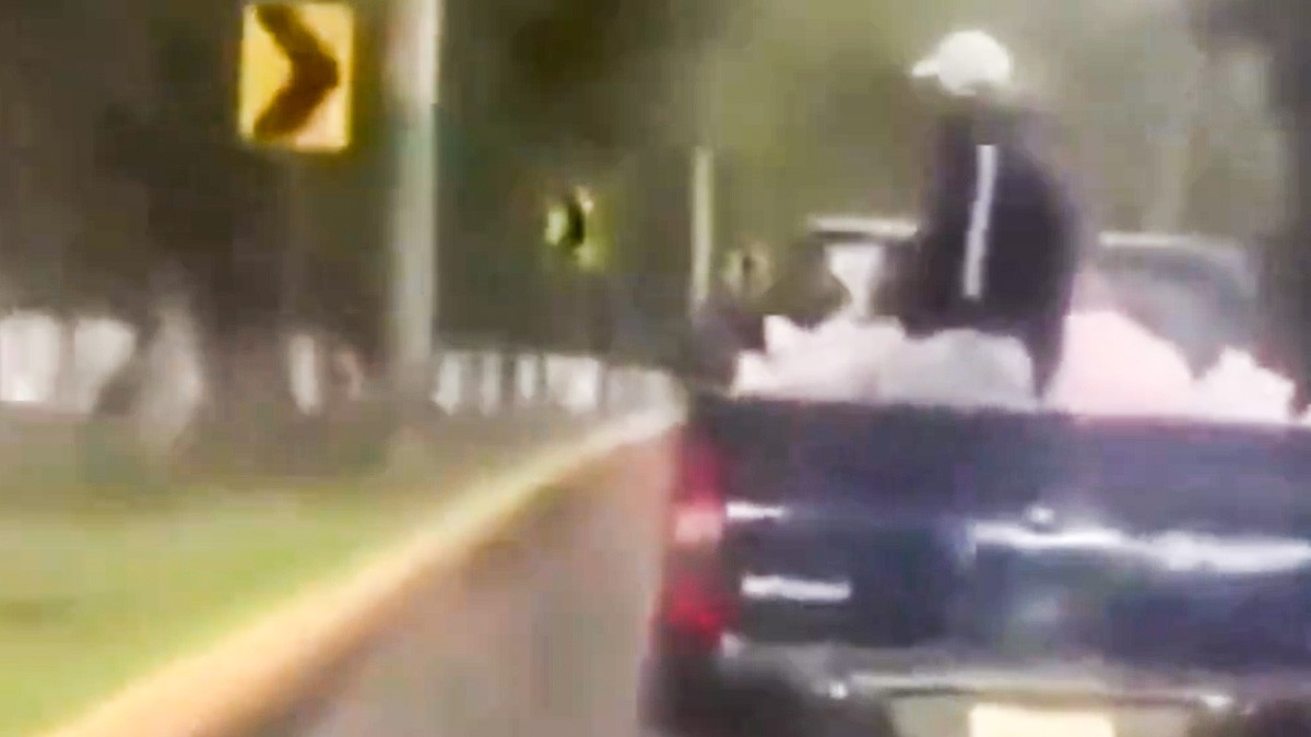 VIDEO ¡Indignante! Captan a hombres que arrojan gatitos desde camioneta en movimiento