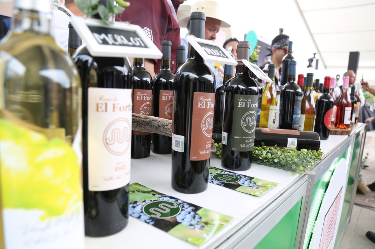 ¡Aquí hay vino, y de calidad! Guanajuato ya es referente nacional en producción vinícola