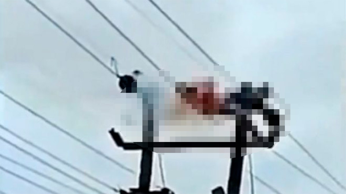 VIDEO Captan cómo un hombre se atora entre los cables de luz y muere electrocutado
