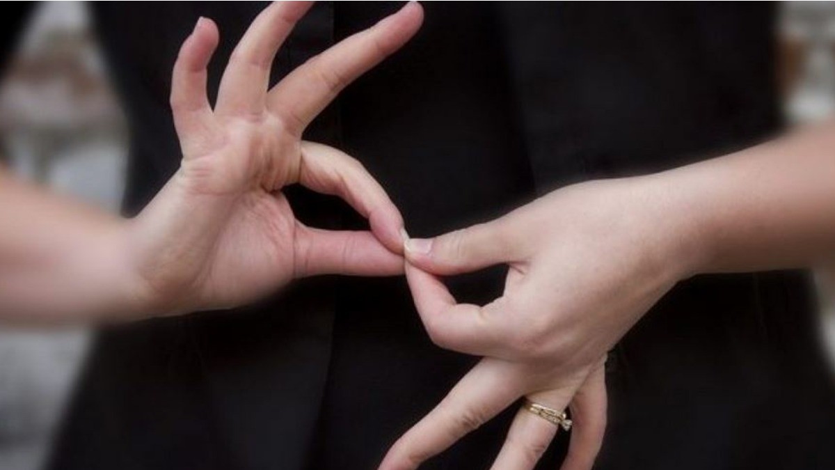 ¿Te interesa conocer la lengua de señas mexicana?, DIF León te capacita y gratis