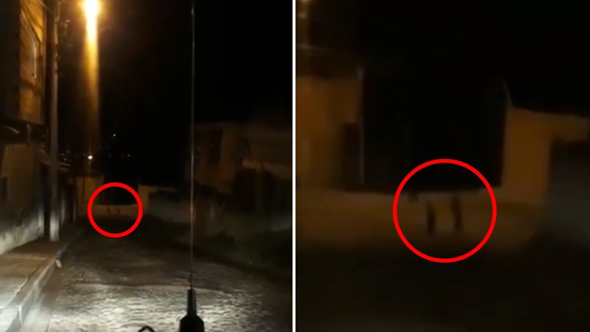 ¿Son duendes? Taxista graba a misteriosas criaturas jugando en medio de la noche