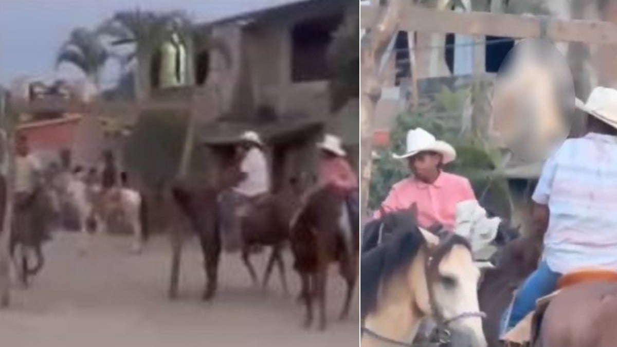 VIDEO Arrancan la cabeza a un gato en fiesta patronal; 'es tradición', alegan