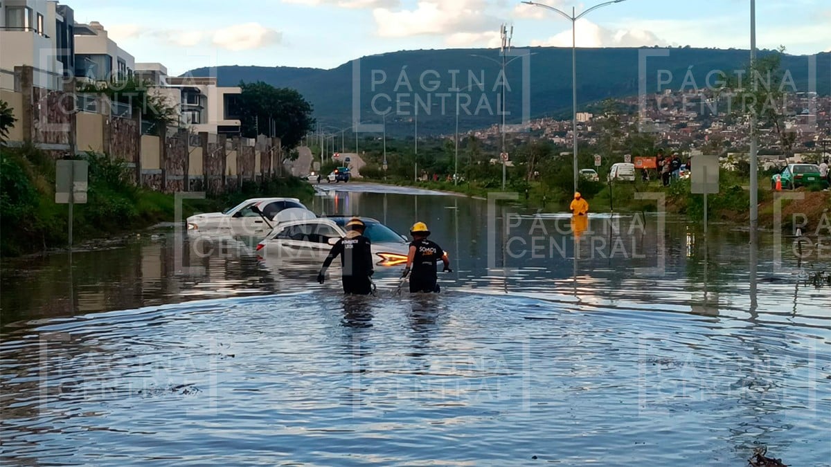Estos son los destrozos que dejó la tormenta este miércoles en León