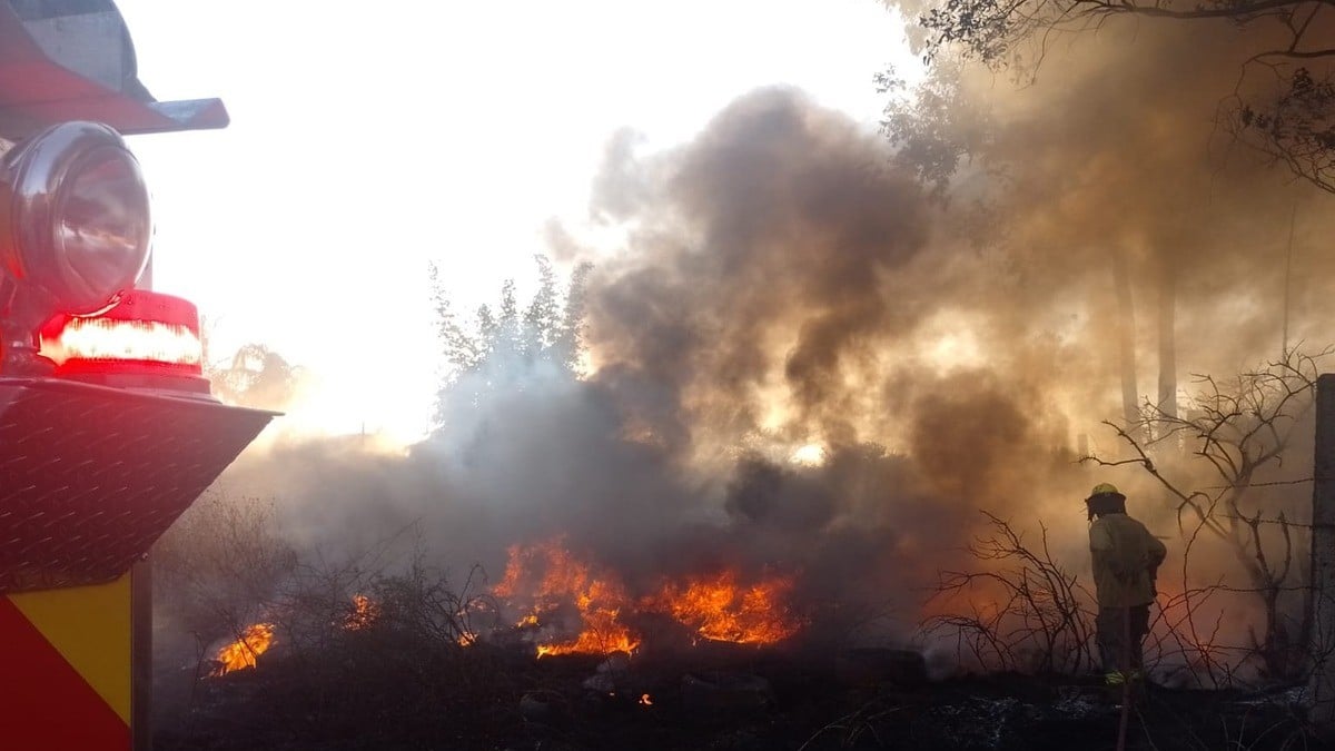 Registró León 5 mil incendios, la mayoría a consecuencia de la sequía