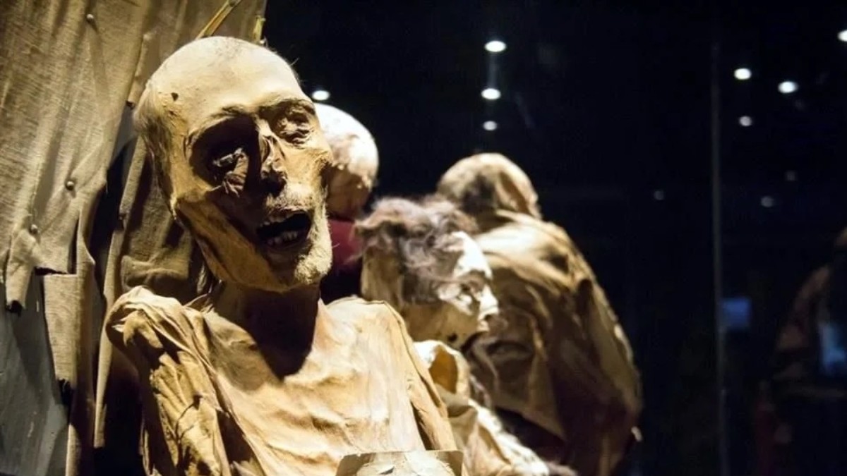 Guanajuato manda a sus momias… al olvido