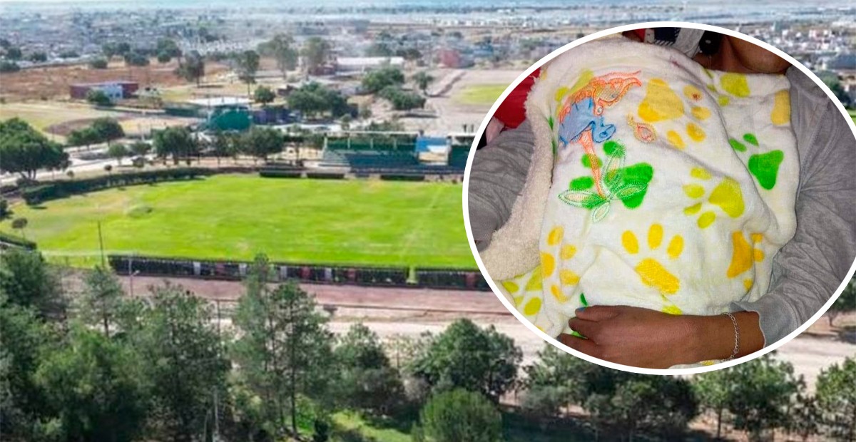 ¡De milagro! Encuentran a un recién nacido en un cerro, estaba entre bolsas de plástico