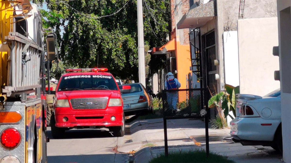 Niños jugaban en un terreno cuando fueron atacados por cientos de abejas, uno murió