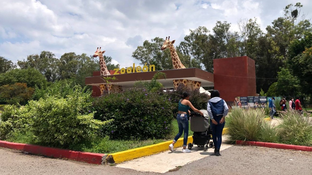 ZooLeón, entre los mejores lugares turísticos en Guanajuato, según México Desconocido