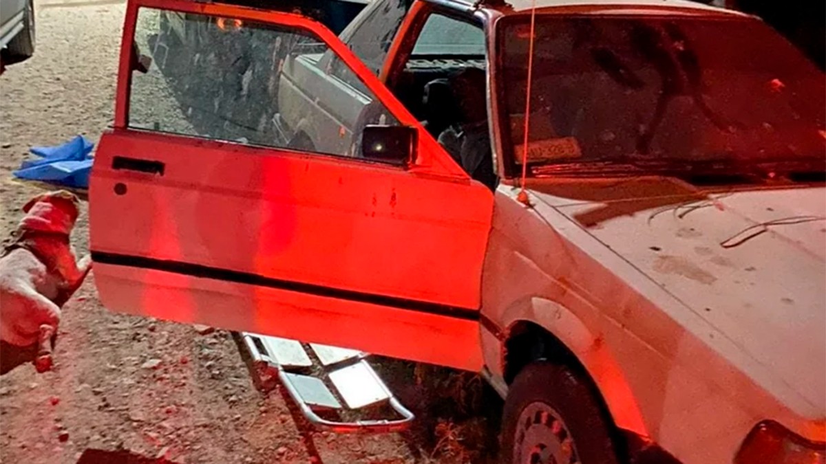 Abuelito rescata a su perrito de un ataque de abejas, pero el hombre falleció