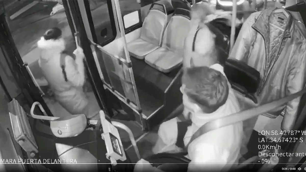 VIDEO Señora corre a bolsazos a hombre que intentó asaltar a chofer de camión