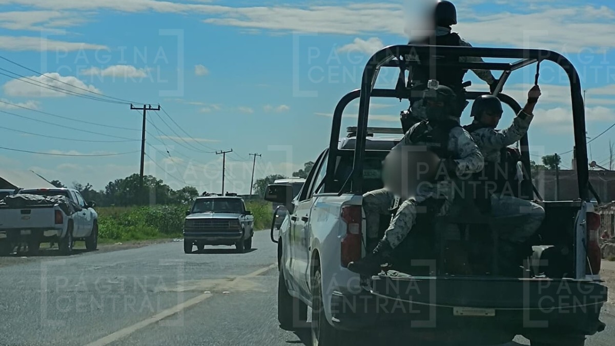 Fuerte operativo acaba en persecución a balazos y recuperan camión cargado de puercos
