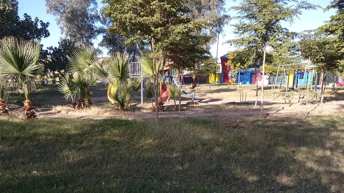 Mujer en situación de calle pierde la vida tras sufrir ataque de una jauría