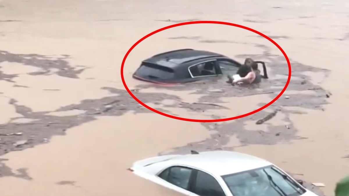 VIDEO Hombre rescata a persona con discapacidad y a su perro en medio de una inundación