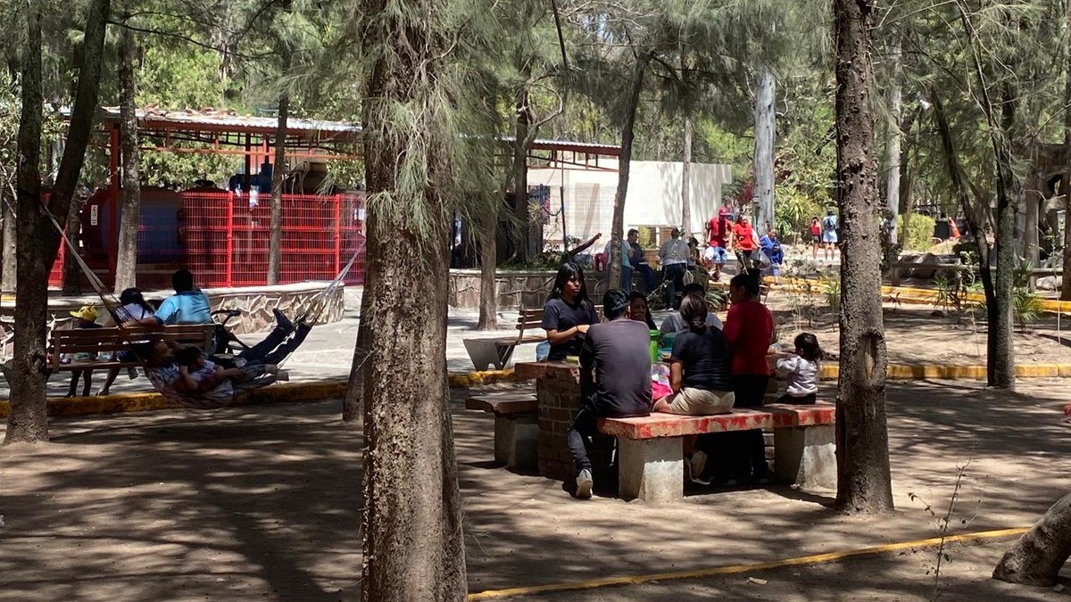 Zoológico de León realiza simulacro de escape animal, pero causa alarma