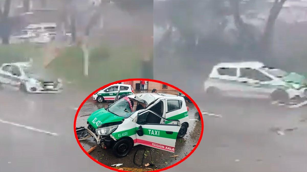 VIDEO Captan cómo rayo derriba un árbol, las ramas cayeron sobre un taxi en circulación