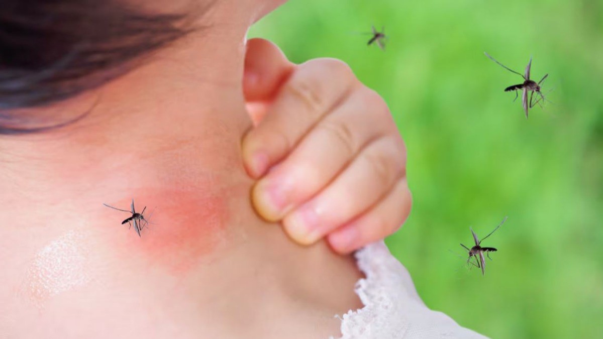 No es tu 'sangre dulce', esto es lo que realmente atrae a los mosquitos