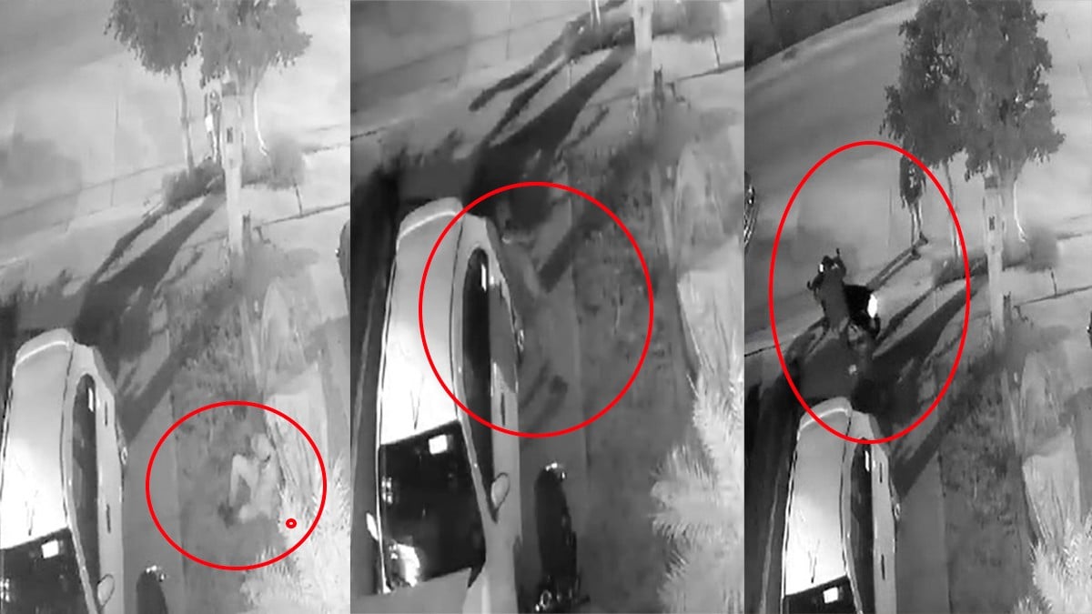 VIDEO Captan el robo de una motocicleta afuera de una casa sobre el bulevar Calíope