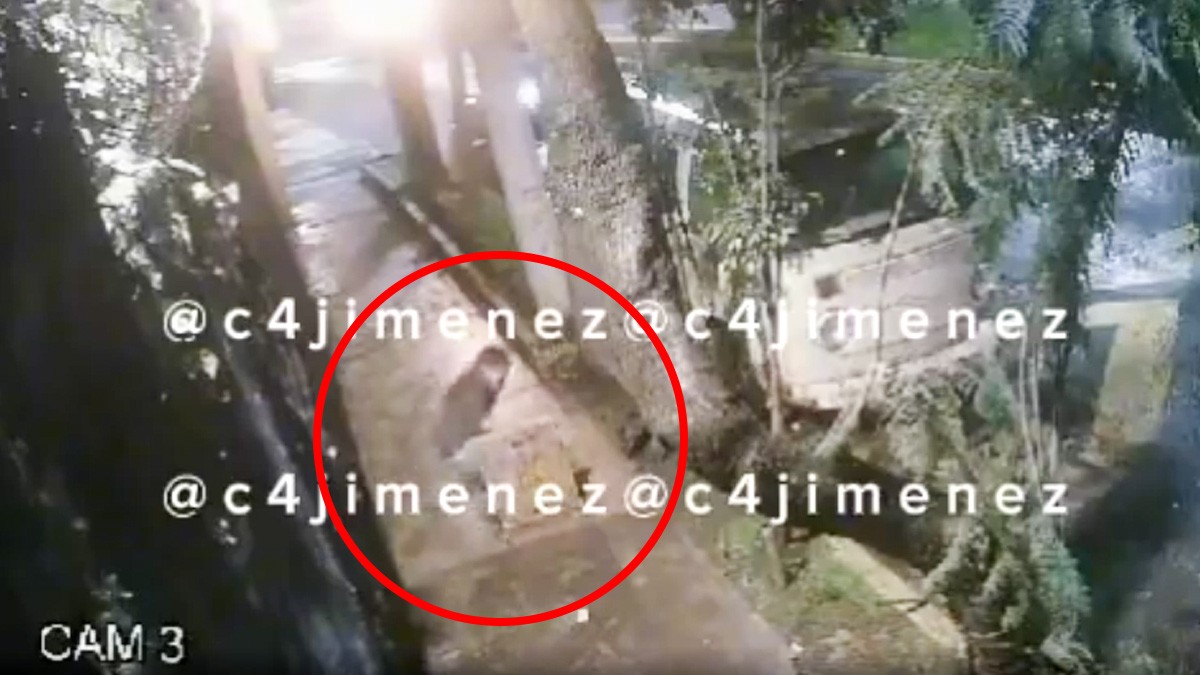 VIDEO ¡Hay 'ratas' en la alcantarilla! Ladrones se esconden en una coladera tras un robo