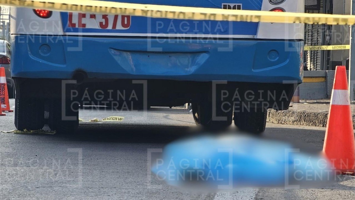 Juana murió atropellada por un camión de la ruta 7 auxiliar en el López Mateos